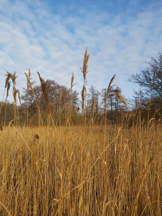 WesterholzFoerde Koje公寓 外观 照片